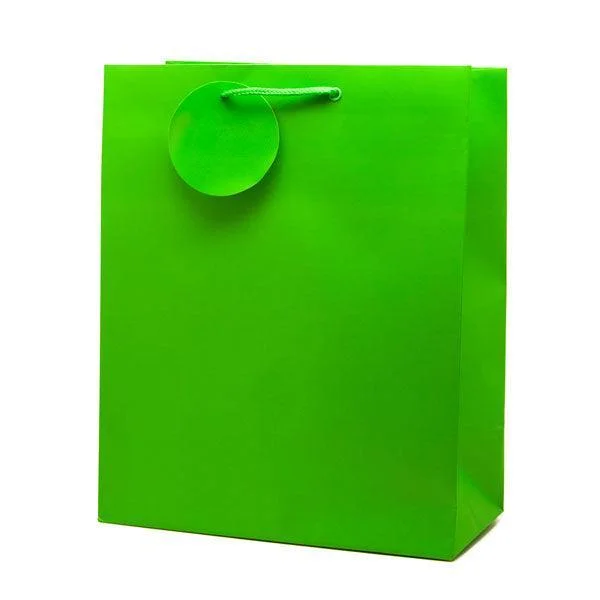 A5 Green Paper Gift Bag
